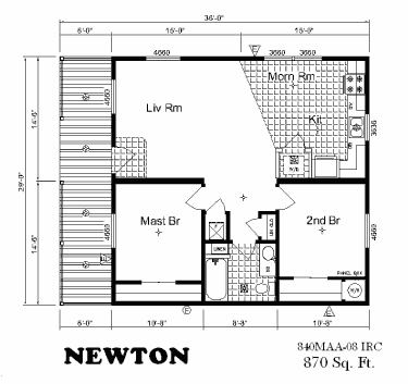 Newton